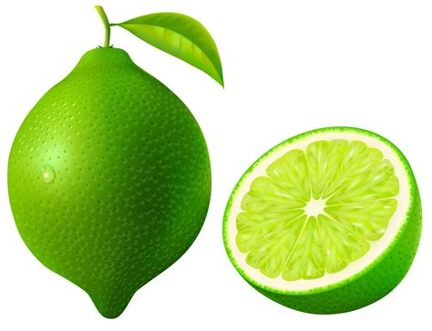 lime clip art